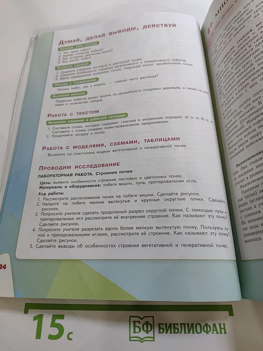 Биология 6 класс