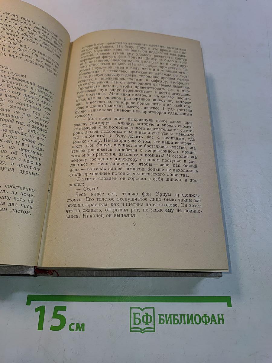 Собрание сочинений. Том второй. Учитель Гнус. В маленьком городе