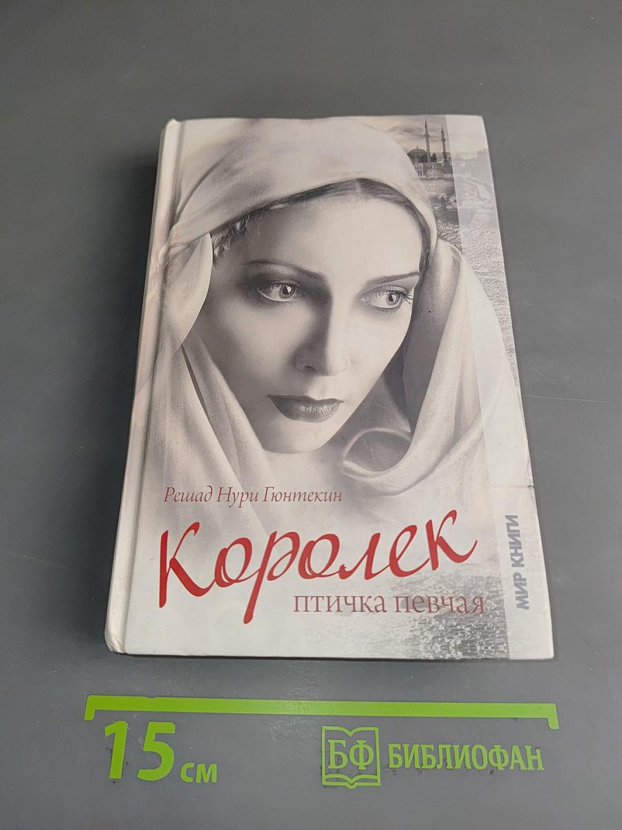Королек - птичка певчая