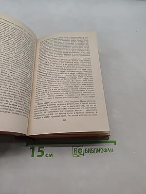 На теплой земле