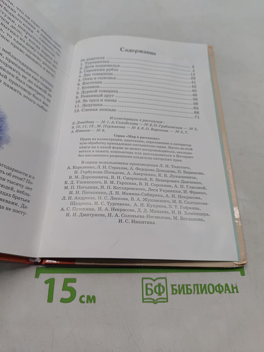 Турчаночка
