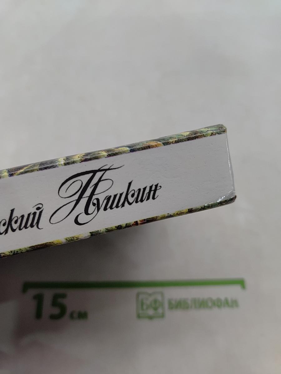 Деревенский Пушкин