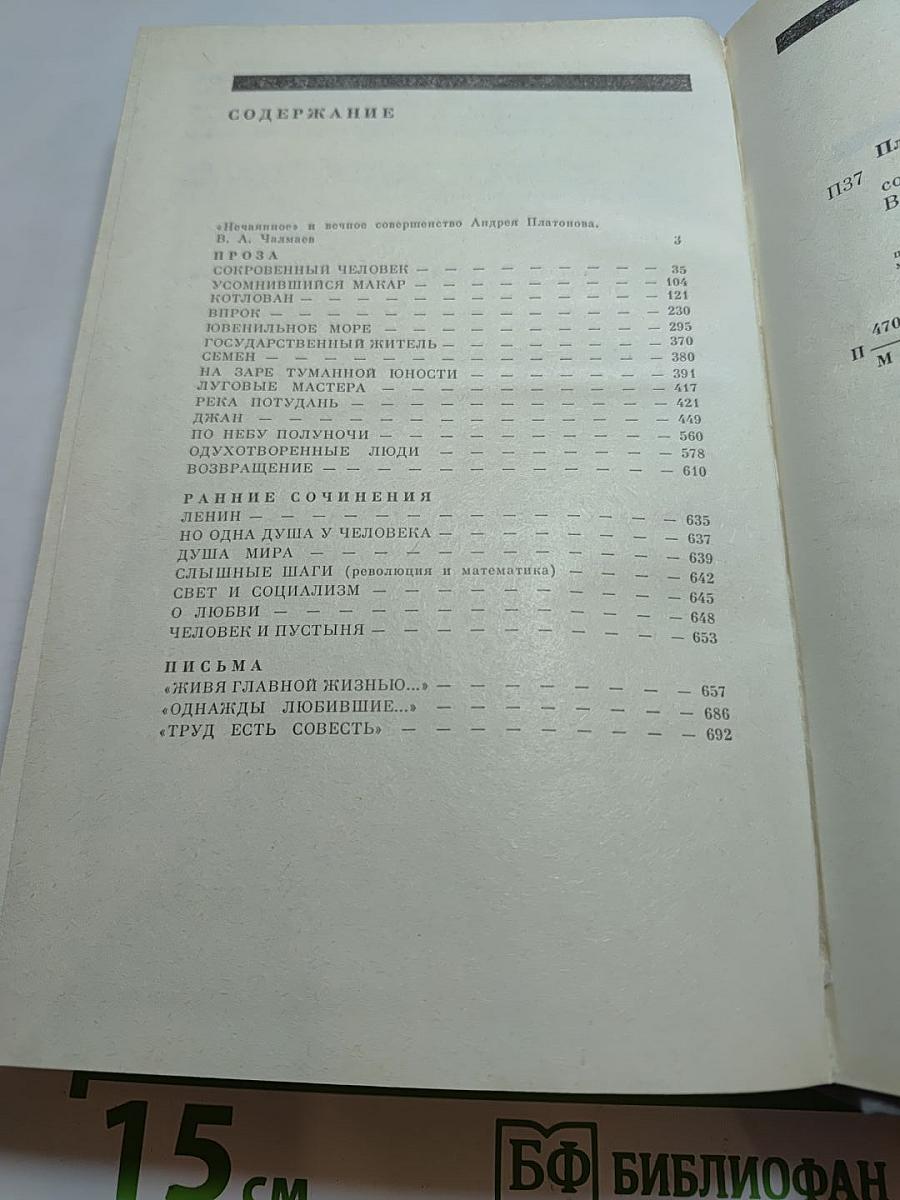 Андрей Платонов. Государственный житель