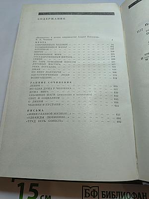 Андрей Платонов. Государственный житель