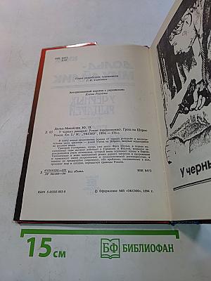 У черных рыцарей. Гроза на Шипре