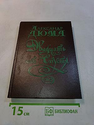 Двадцать лет спустя. Том 2