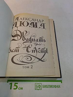 Двадцать лет спустя. Том 2