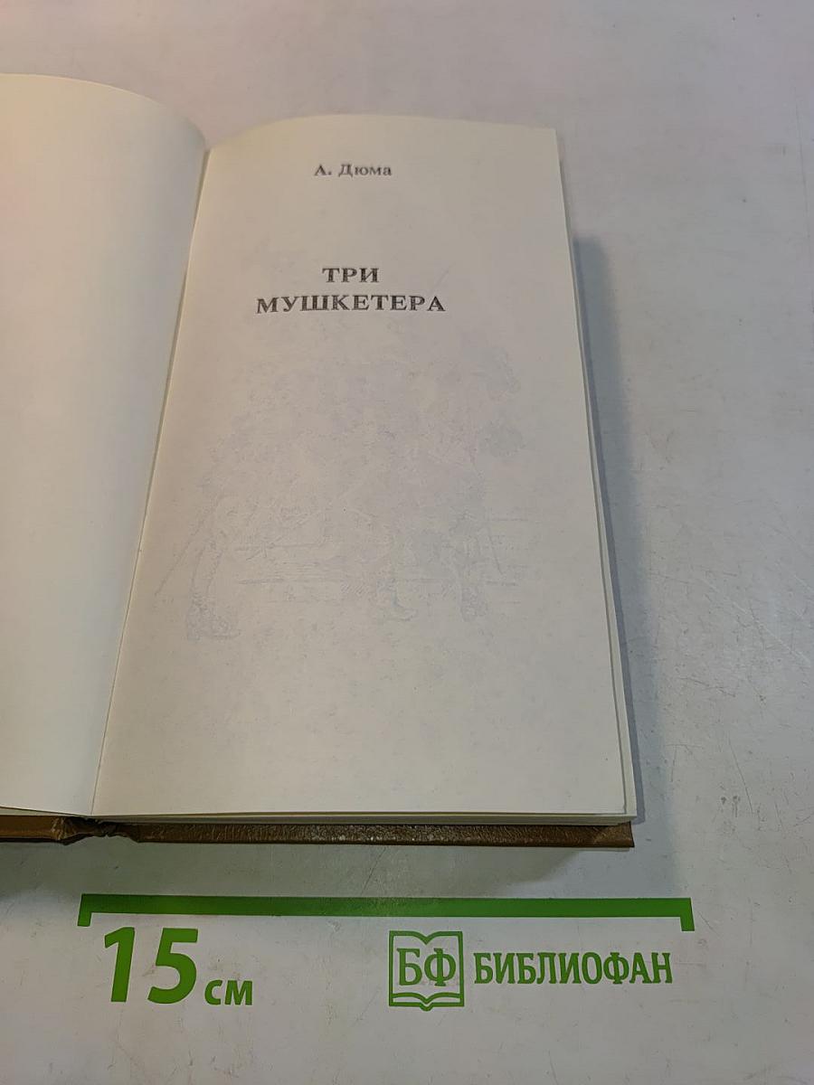 Три мушкетёра