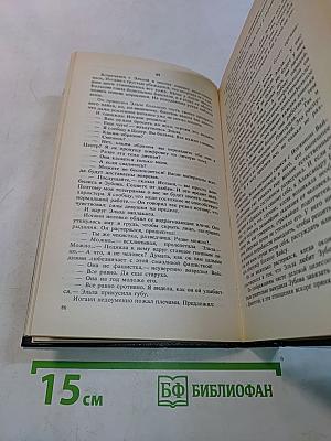 Щит и меч. Книга вторая
