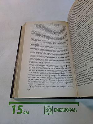 Щит и меч. Книга первая