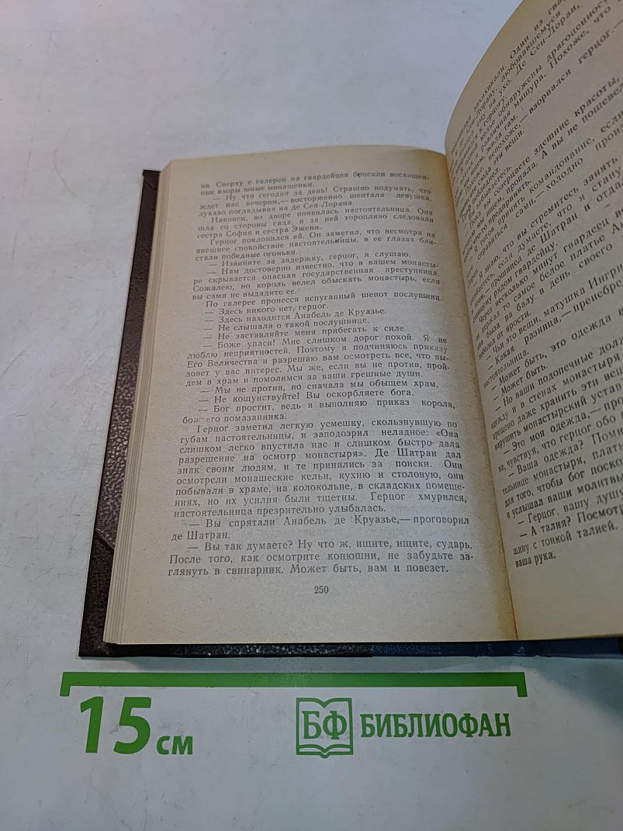 Прекрасная француженка или История любви Анабель де Круазье