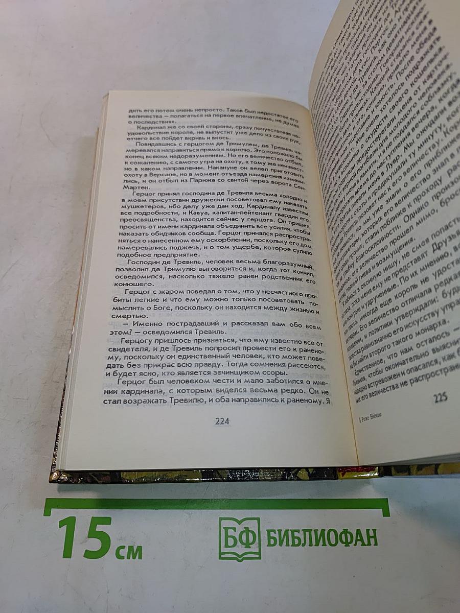 Влюбленный д'Артаньян, или Пятнадцать лет спустя