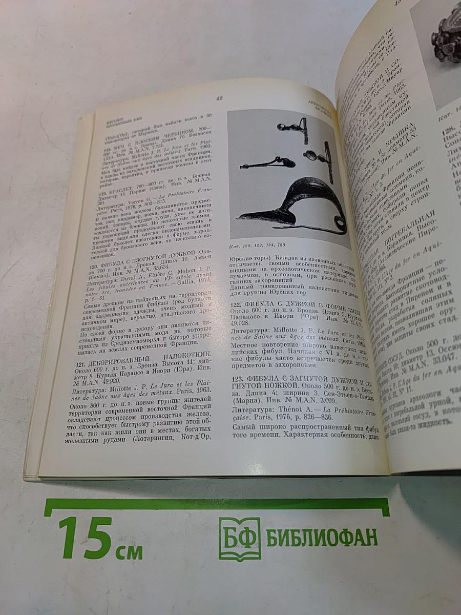 Археология Франции. От палеолита до эпохи Меровингов