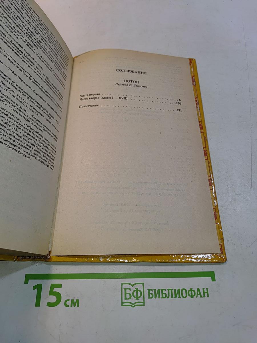 Потоп. Роман в двух книгах. Книга первая