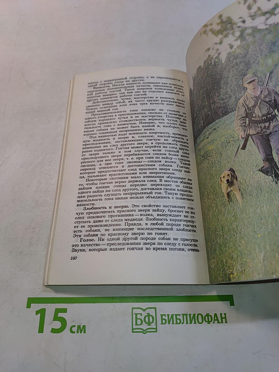 Гончие