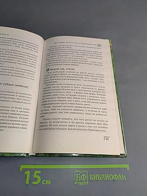 Фитотерапия в онкологии. Целебные растения и травы против рака