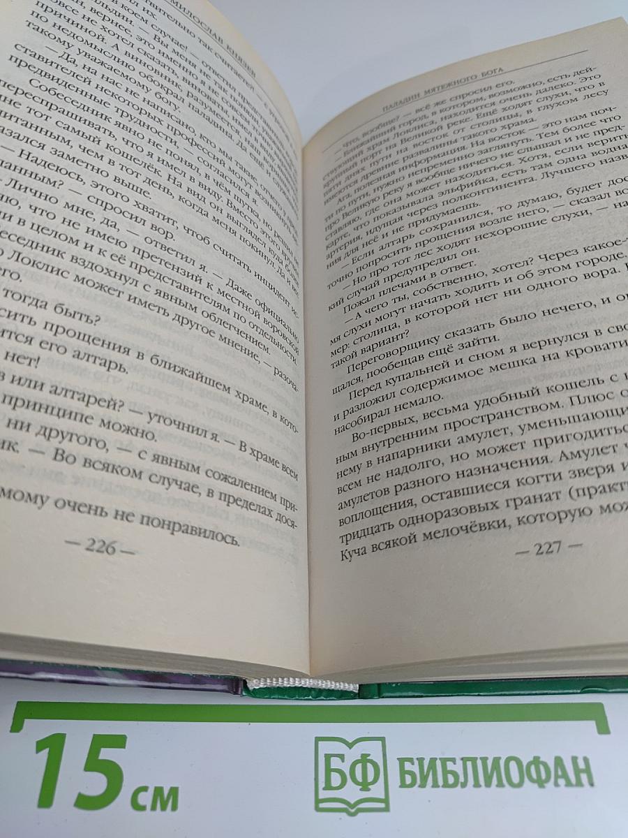 Паладин мятежного бога