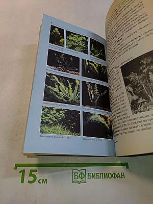 Ваш первый аквариум