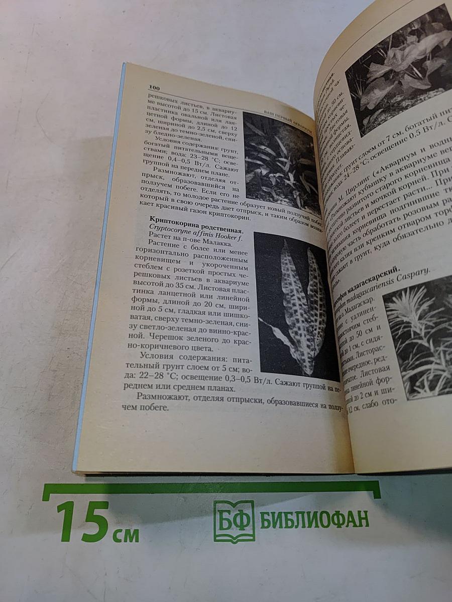 Ваш первый аквариум