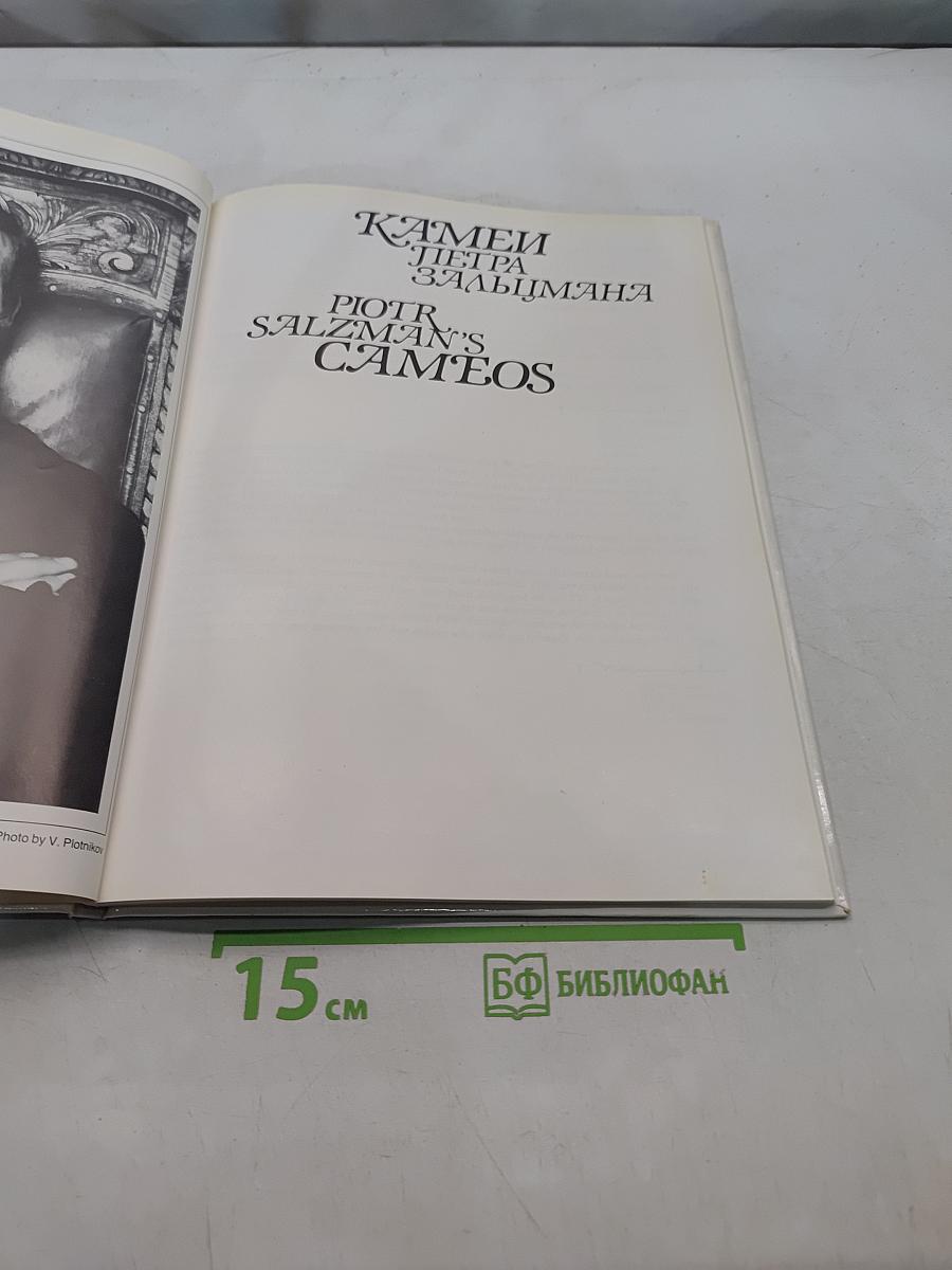 Камни Петра Зальцмана. Cameos