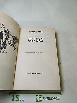 Брат мой, враг мой