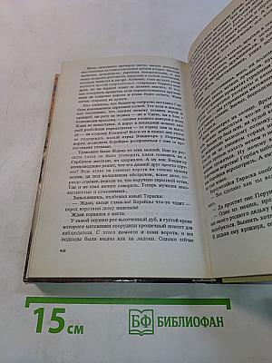 Владигор