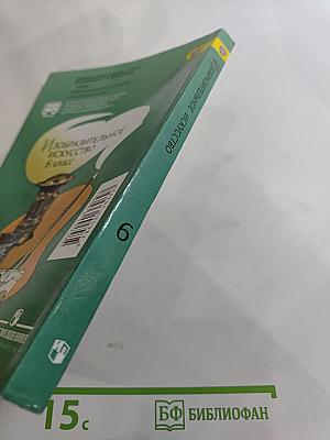 Изобразительное искусство 6 класс