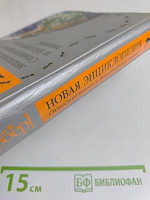 Новая энциклопедия относительного и абсолютного знания