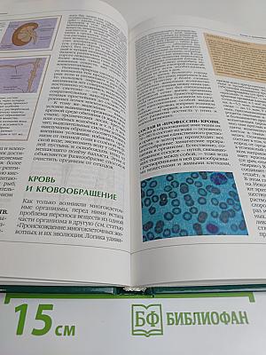 Феномен жизни. Раздел тома "Биология"