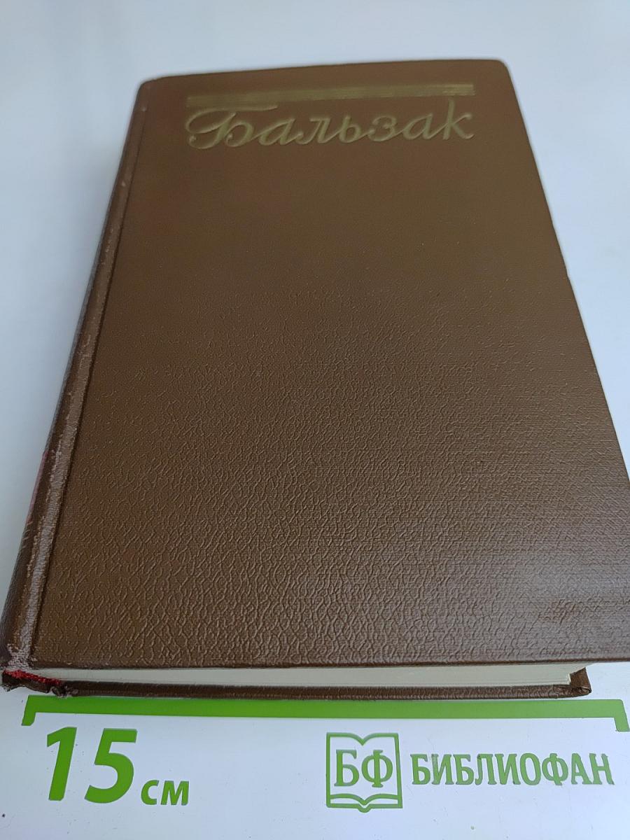 Человеческая комедия. Сцены парижской жизни. Том 10
