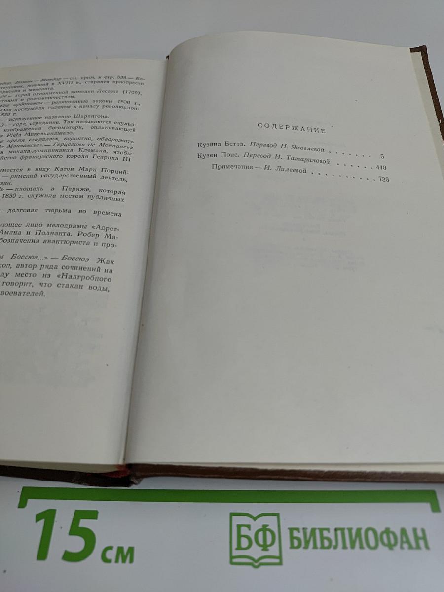 Человеческая комедия. Сцены парижской жизни. Том 10