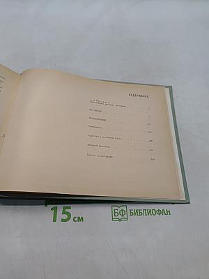 М. В. Нестеров. Из писем