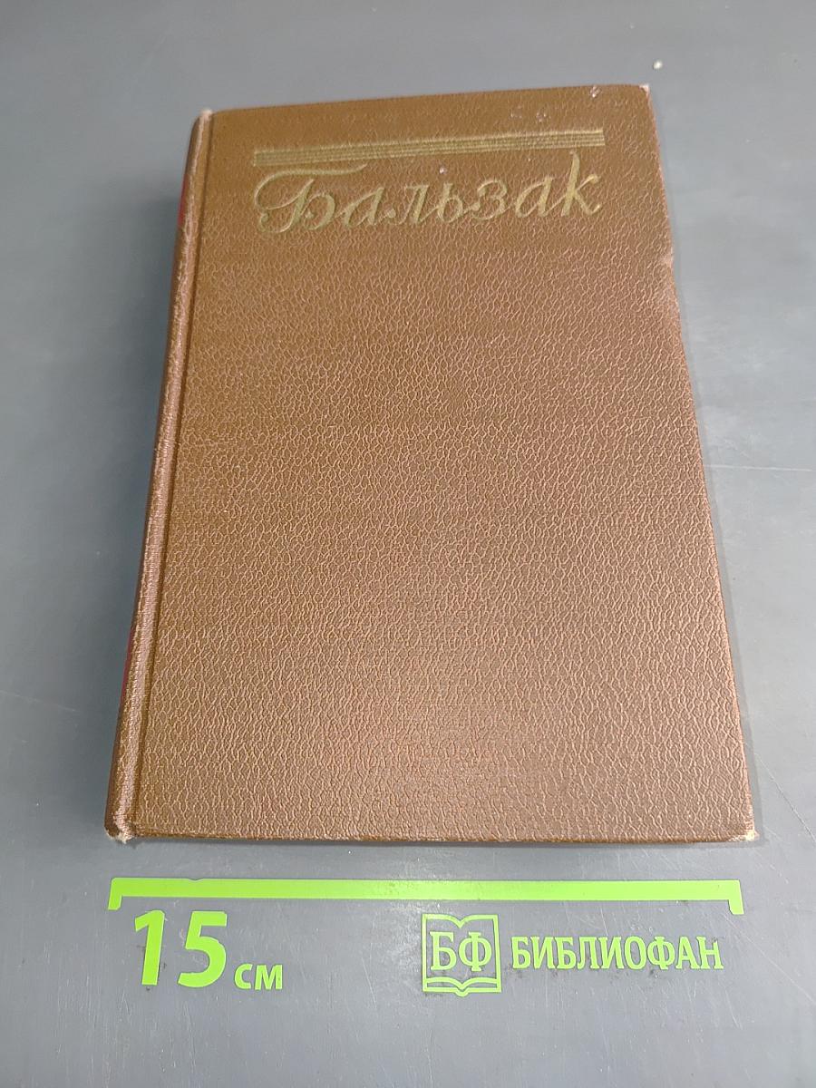 Человеческая комедия. Провинциальная жизнь. Том 4