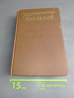 Человеческая комедия. Провинциальная жизнь. Том 4