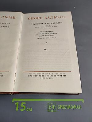 Человеческая комедия. Провинциальная жизнь. Том 4