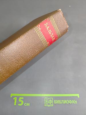 Человеческая комедия. Провинциальная жизнь. Том 4