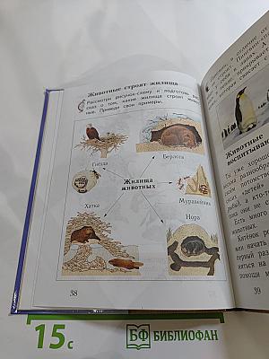 Окружающий мир 2 класс. Часть вторая