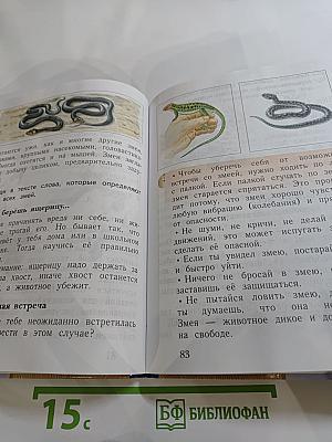 Окружающий мир 2 класс. Часть вторая