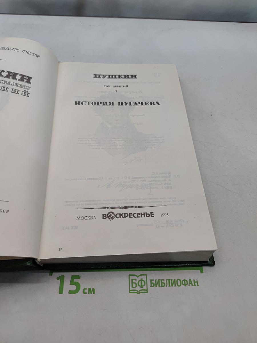 Сочинения. Том 1. История Пугачева