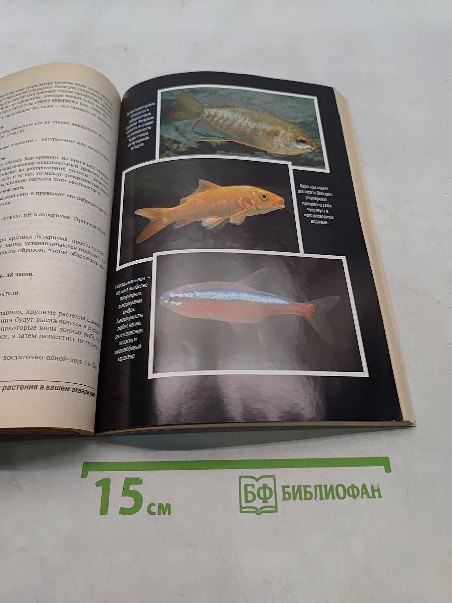 Аквариумы для "чайников"