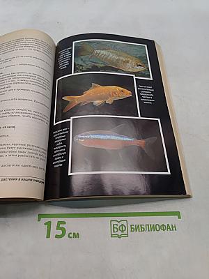 Аквариумы для "чайников"