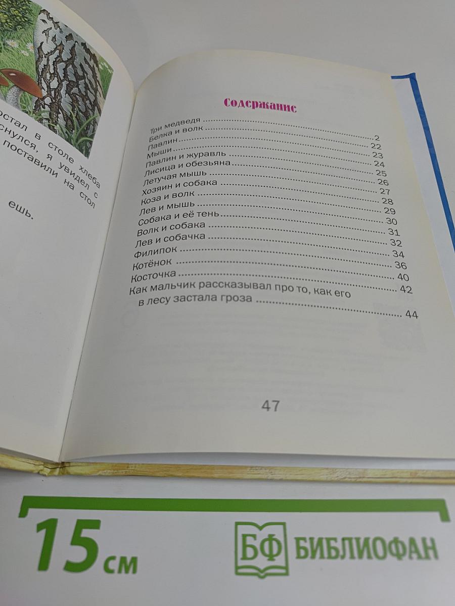 Рассказы и сказки