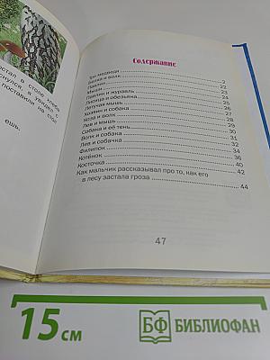 Рассказы и сказки