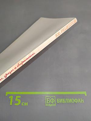 Котлеты, зразы, бифштексы. 300 рецептов