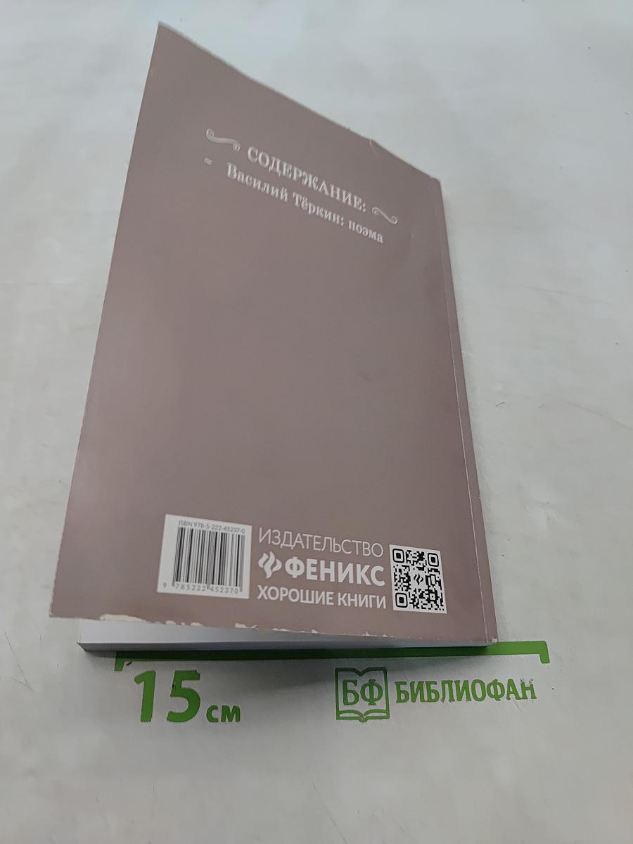 Василий Тёркин. Поэма (Школьная программа по чтению)