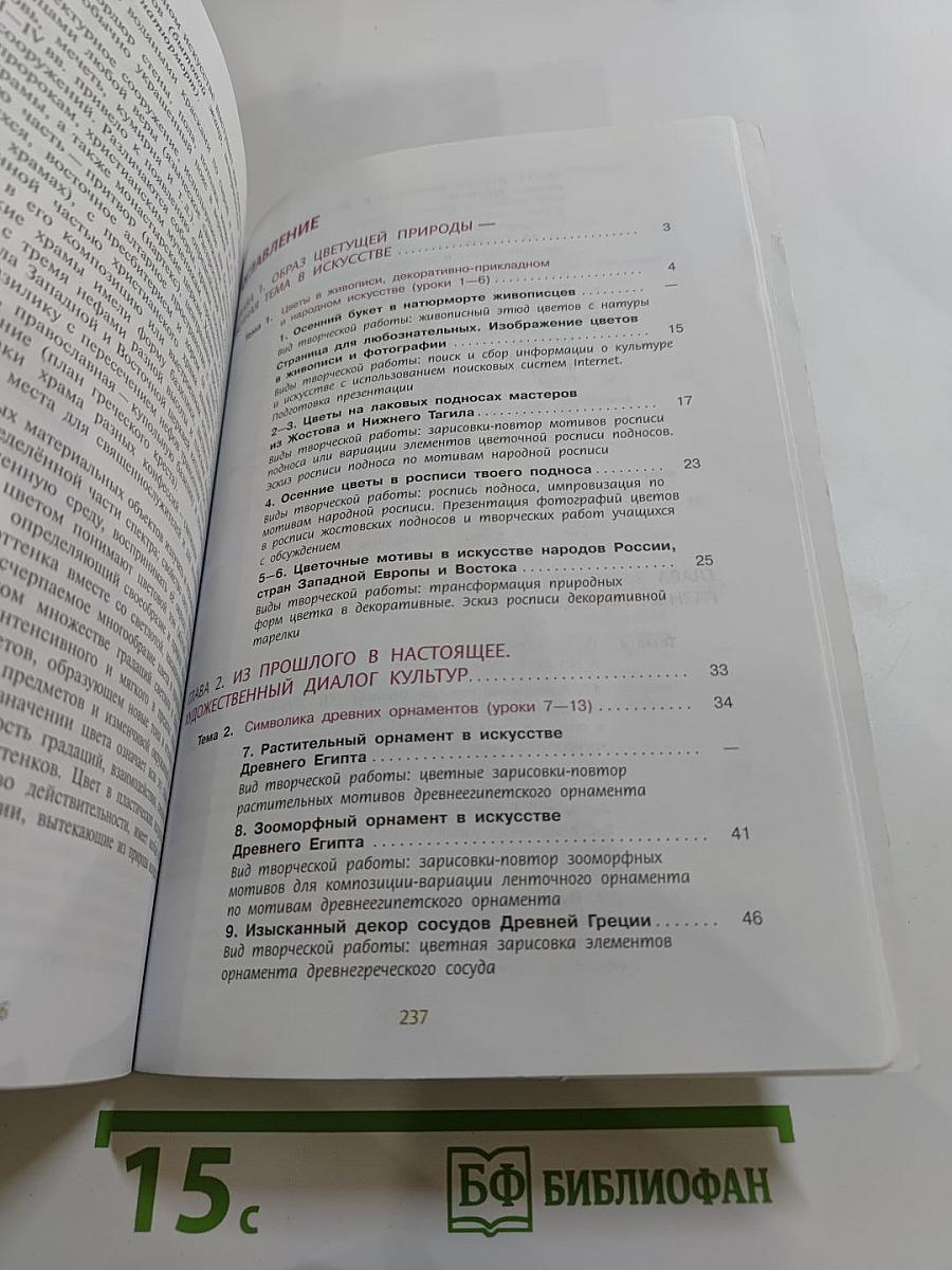 Изобразительное искусство. 6 класс