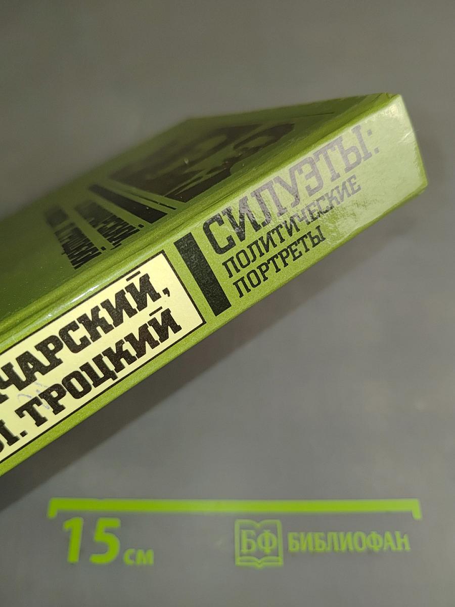 Силуэты: Политические портреты