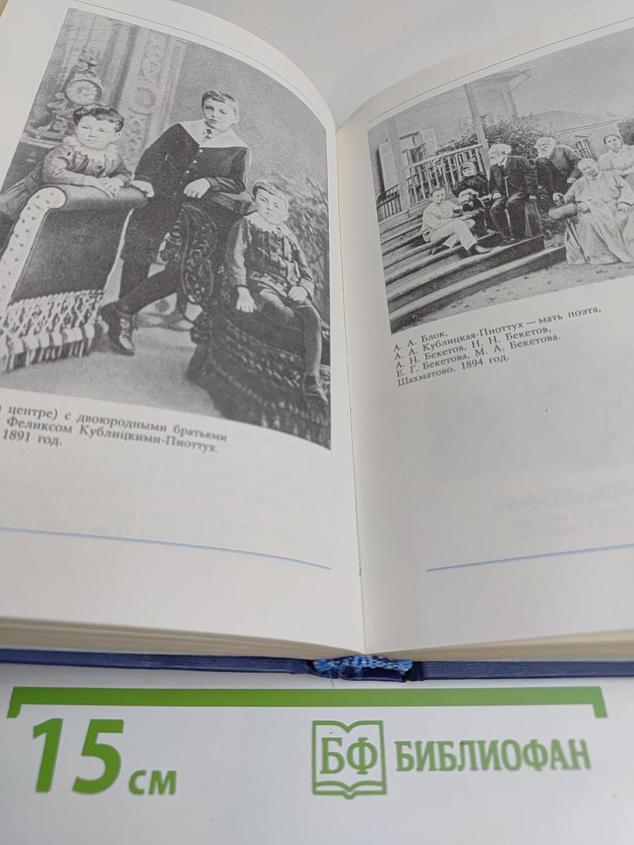 Я лучшей доли не искал...
