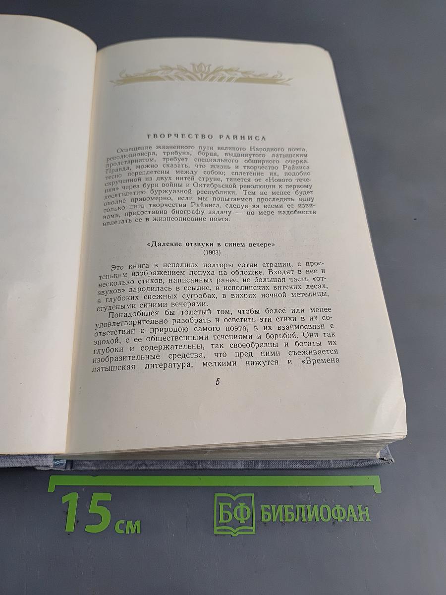 Ян Райнис