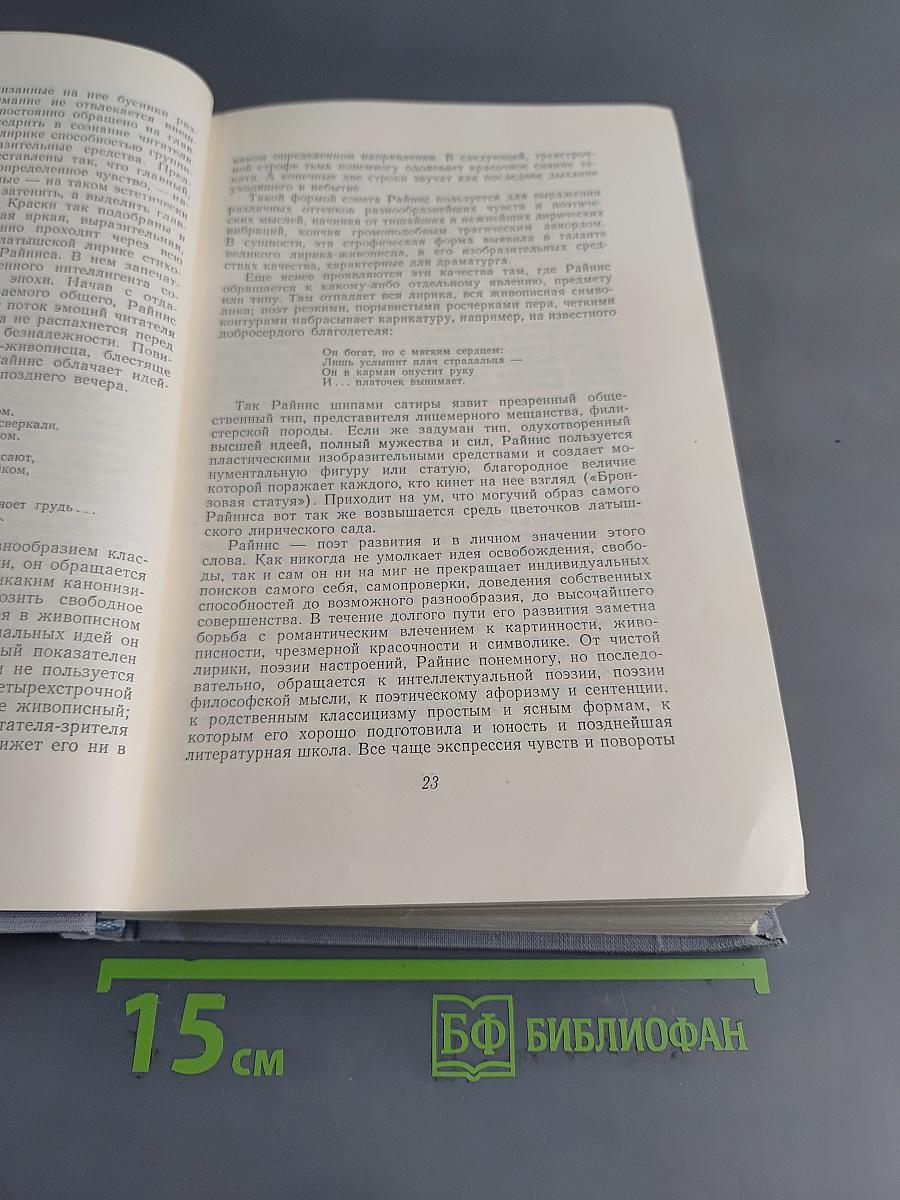 Ян Райнис